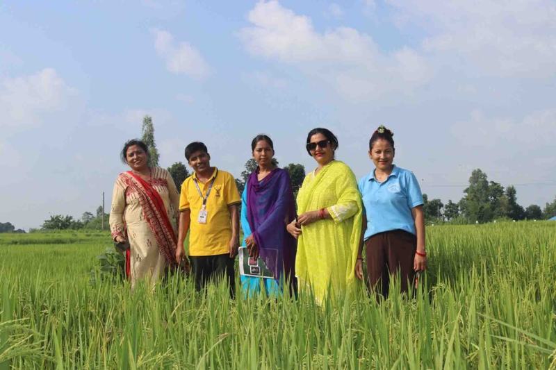 Dhan-Kheti-2081-Palika-1-11-1024x683