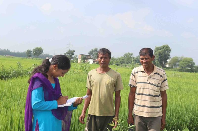 Dhan-Kheti-2081-Palika-1-14-1024x683