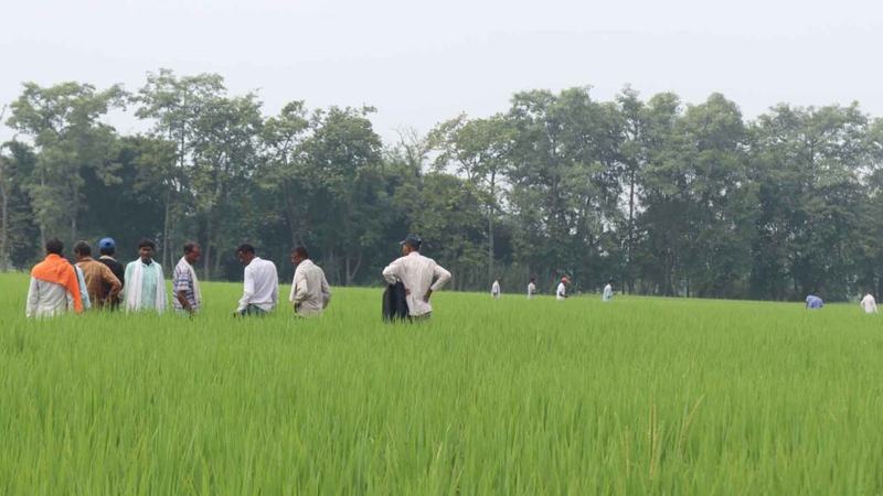 Ganeshbaba-Agro-Bhraman-13-1024x576