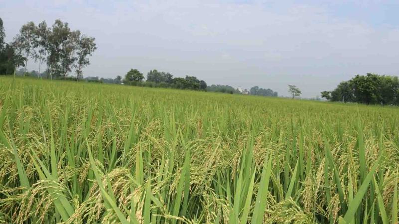 Ganeshbaba-Agro-Bhraman-16-1024x576