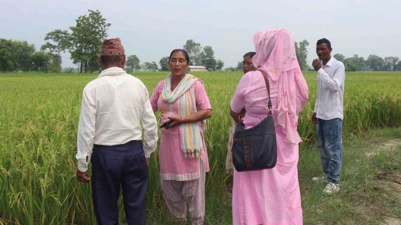 Ganeshbaba-Agro-Bhraman-8-1024x576