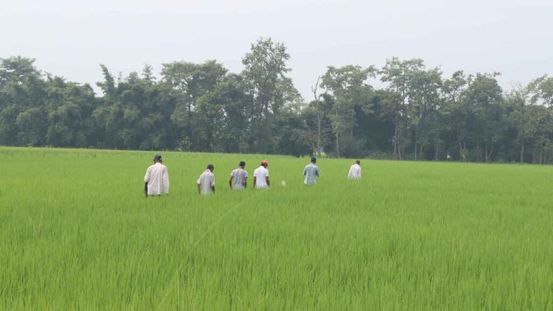 Ganeshbaba-Agro-Bhraman-9-1024x576