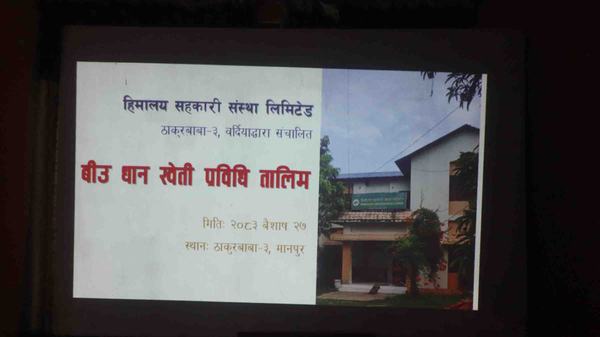 बीउ धान खेती प्रविधि तालिम सम्पन्न